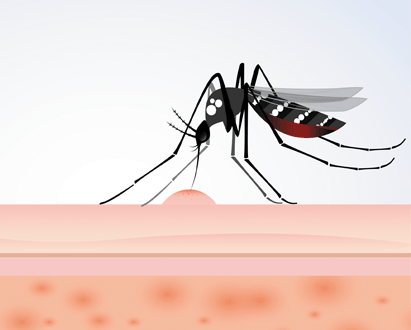 Малярия: история продолжается